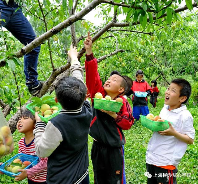 有图为证，这是一所非同寻常的民办学校